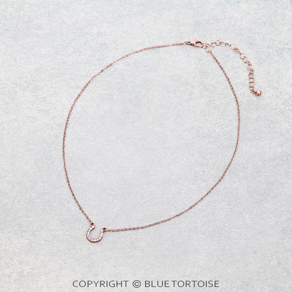 Pave Stone Horseshoe Necklace