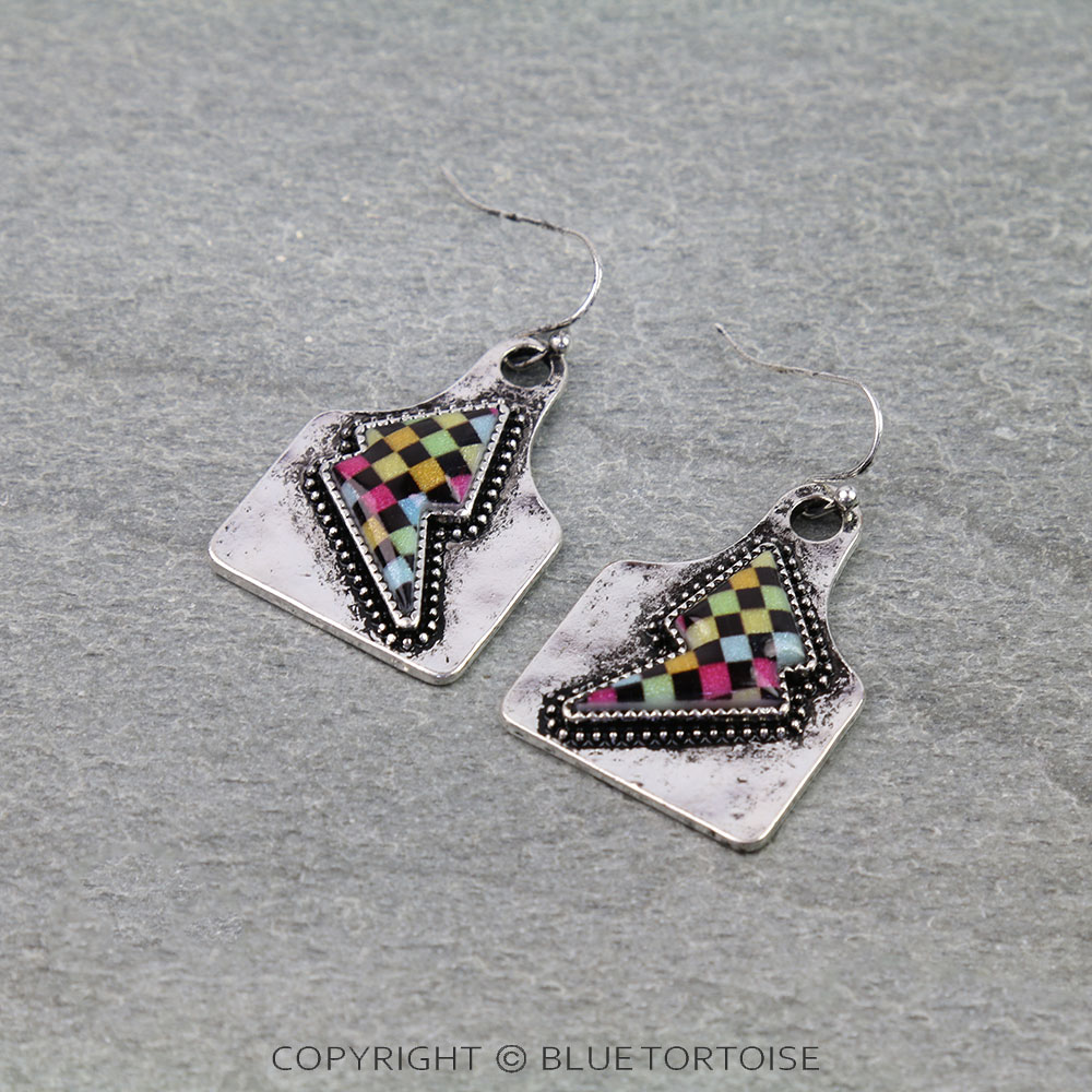 Thunder Rainbow Checker Dangle Earrings