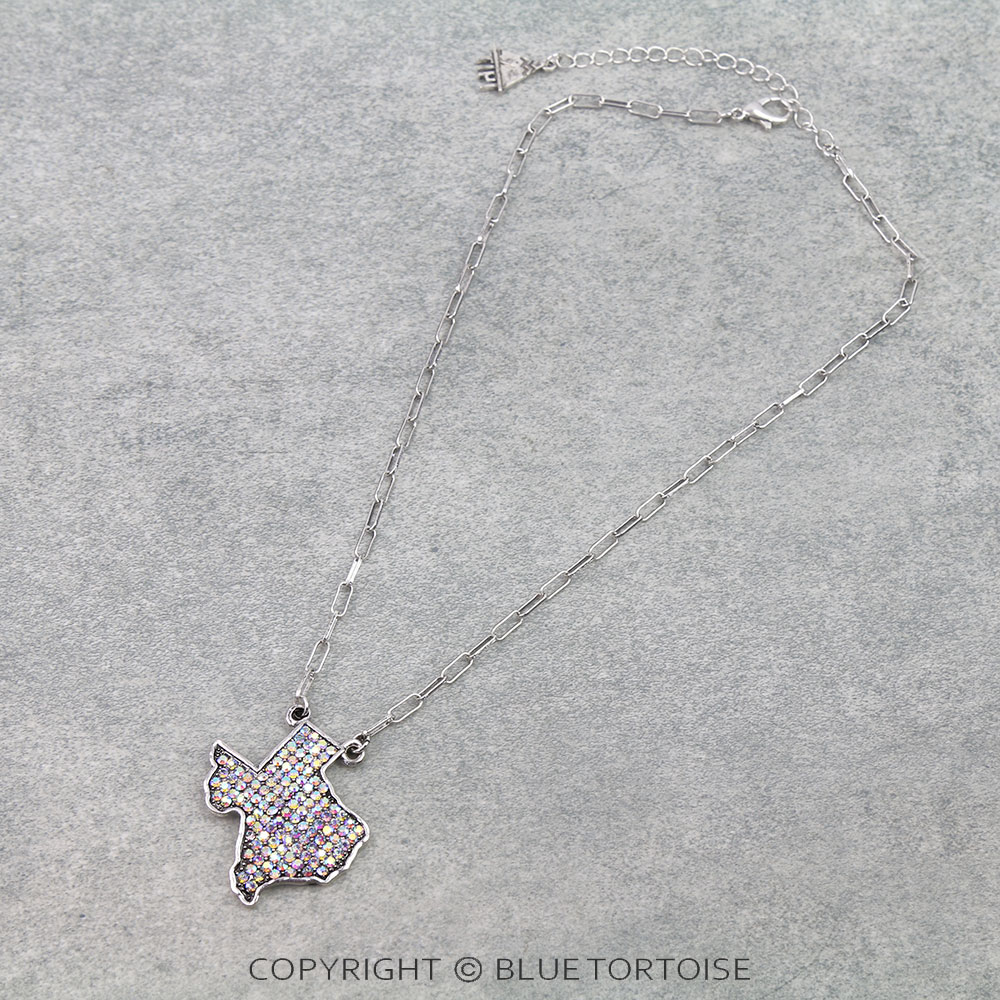 Western Texas Map Necklace