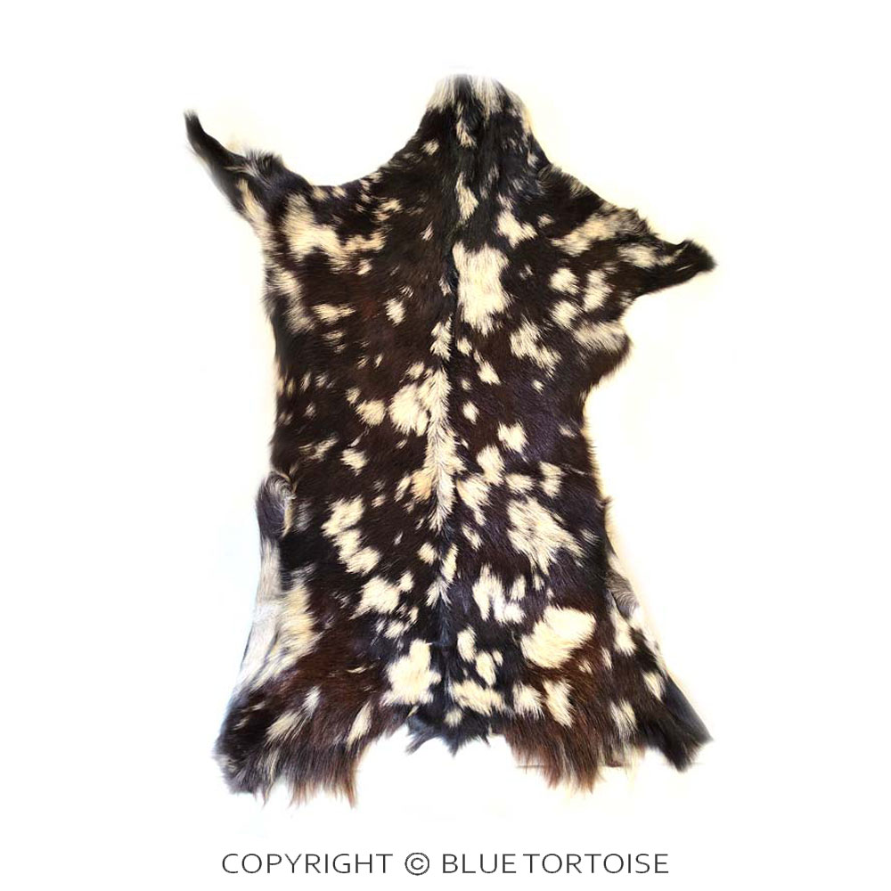 Western Cowhide Leather